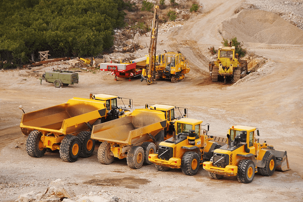 Lot filled with a variety of cat equipment